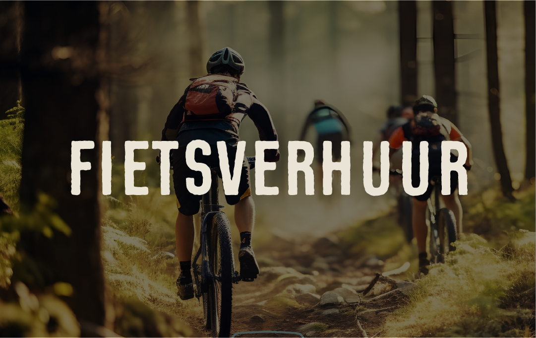 Fietsverhuur eenvoudig | Activiteiten | Bos & Co - Oosterhout